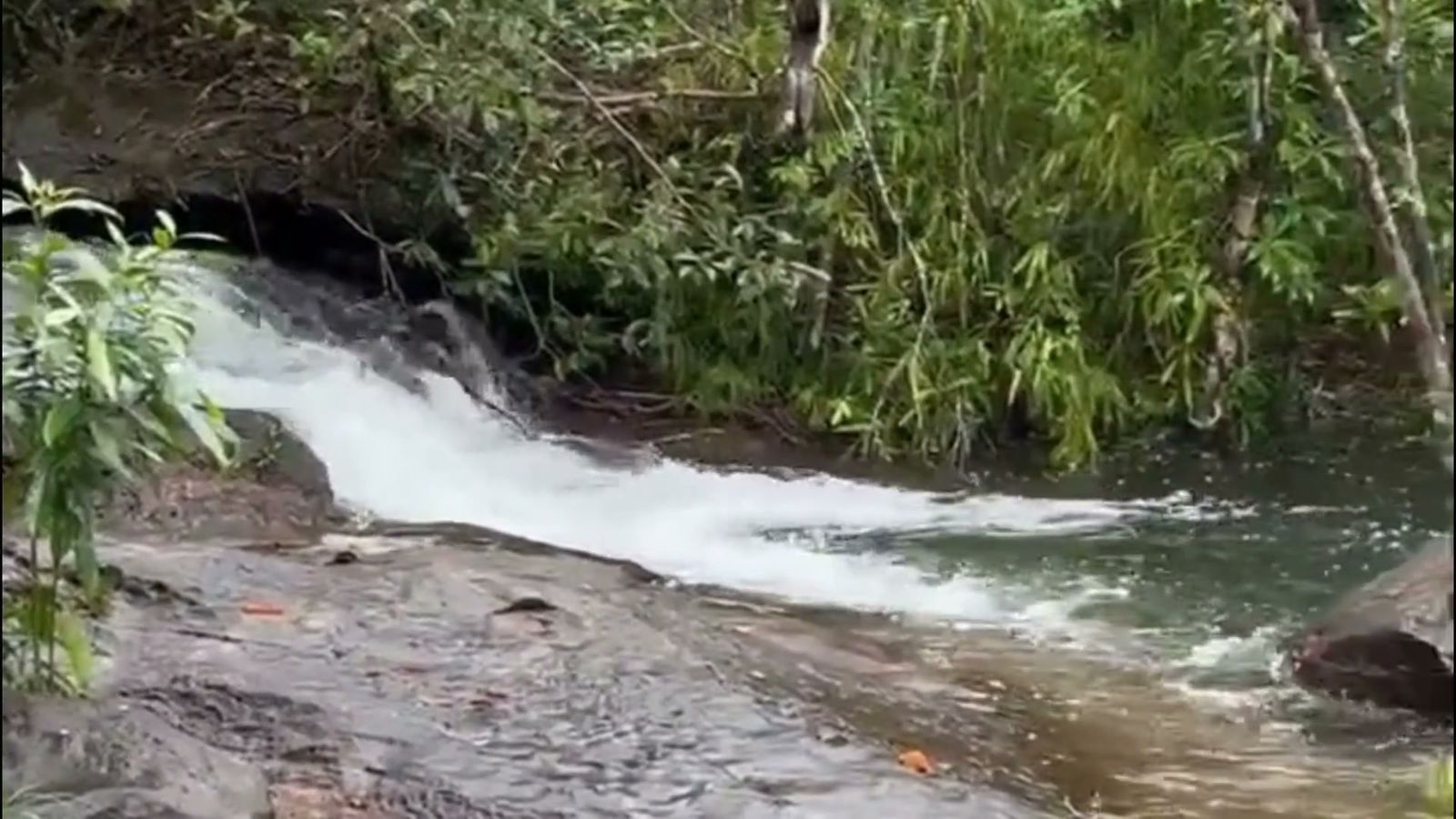 Khám phá thiên nhiên